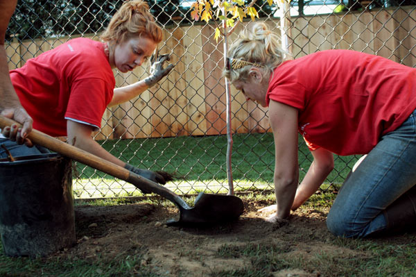 treeplant With barely half an hour to go before the reveal, Alyssa Chuback and Kasia Kilner ferverently plant one of two new trees for the backyard. (Mitch Thompson photo)