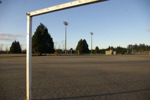 imgp7350 The gravel fields at Newton Athletic Park (NAP) could be the future home of Kwantlen's very own turf field. NAP is about two minutes away from the Surrey campus.